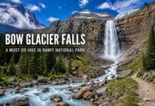 Bow Glacier Falls