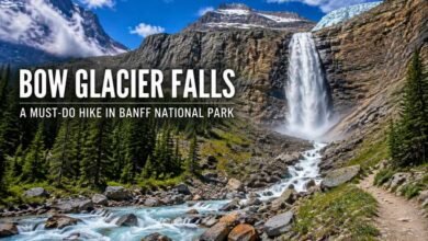 Bow Glacier Falls