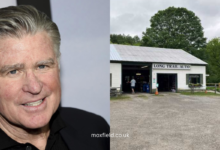 treat williams accident